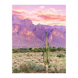 Cactus Sunset (Print Only) thumbnail