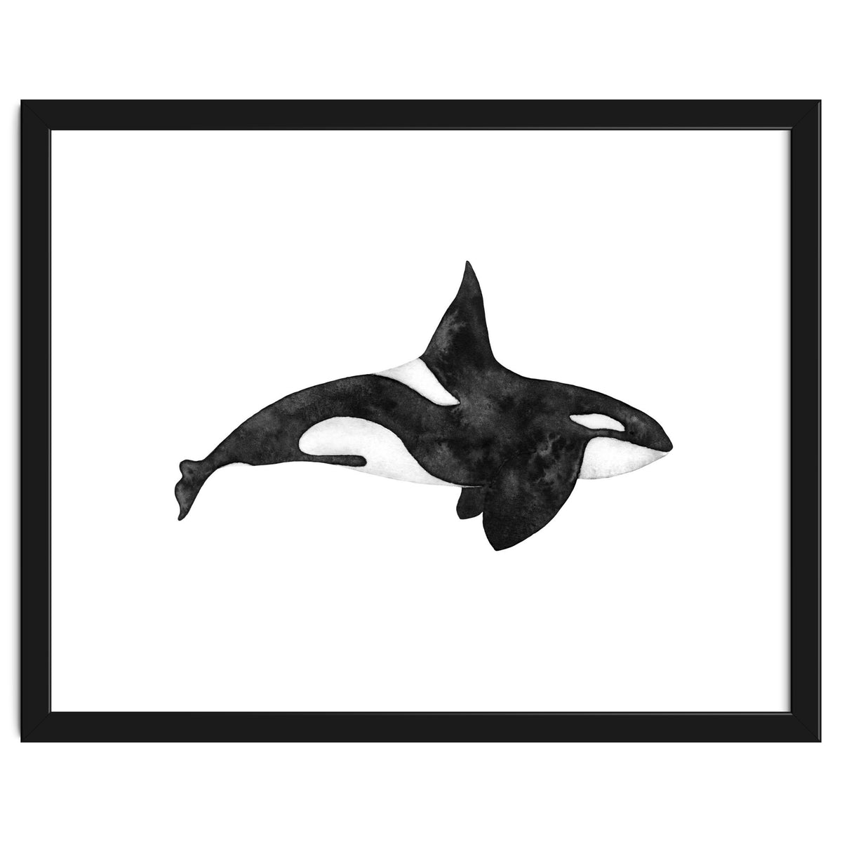Orca