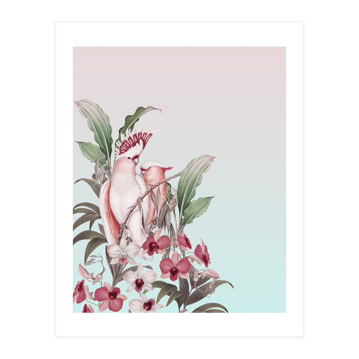Pastel Cockatoos Paradise (Print Only)