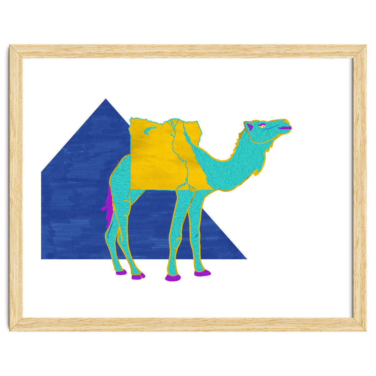 Egyptian Dromedary