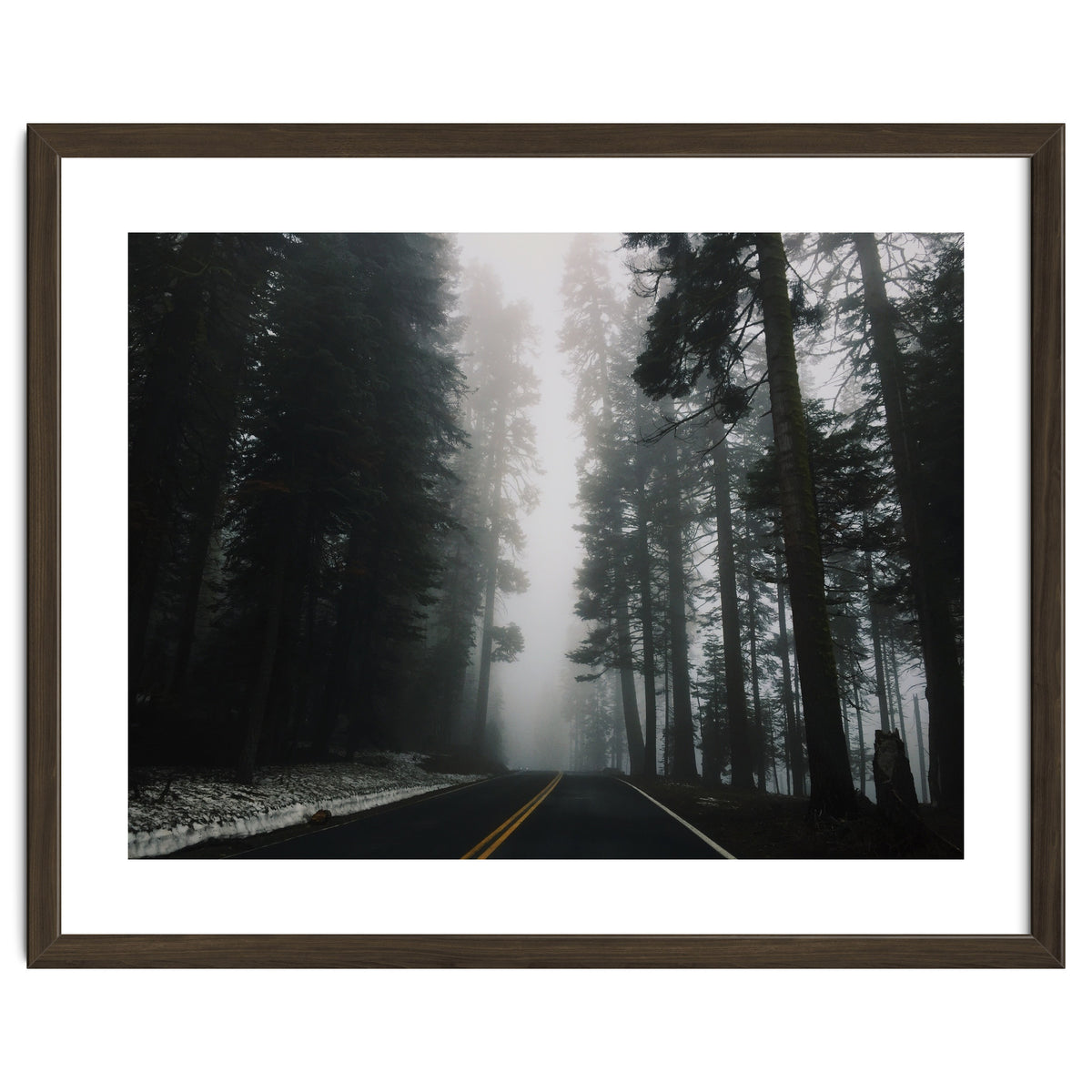 Foggy Yosemite