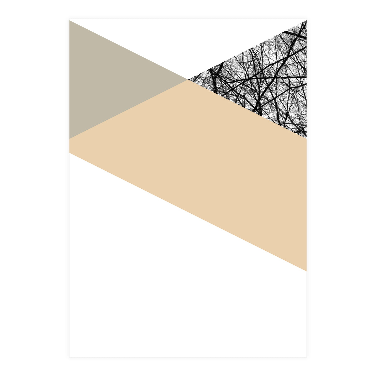 TRIWOOD IV (Print Only)