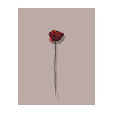 Poppy (Print Only) thumbnail