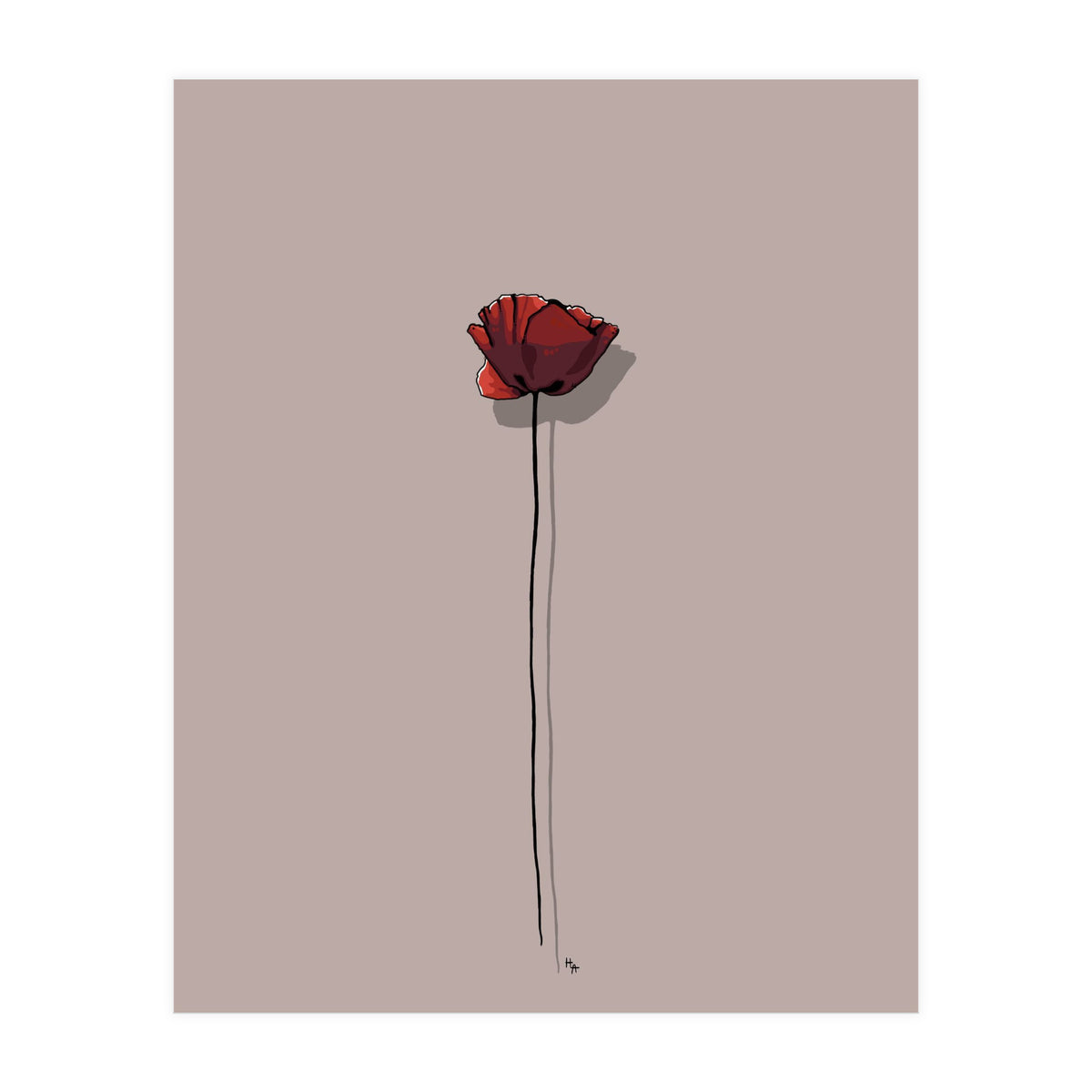 Poppy (Print Only)