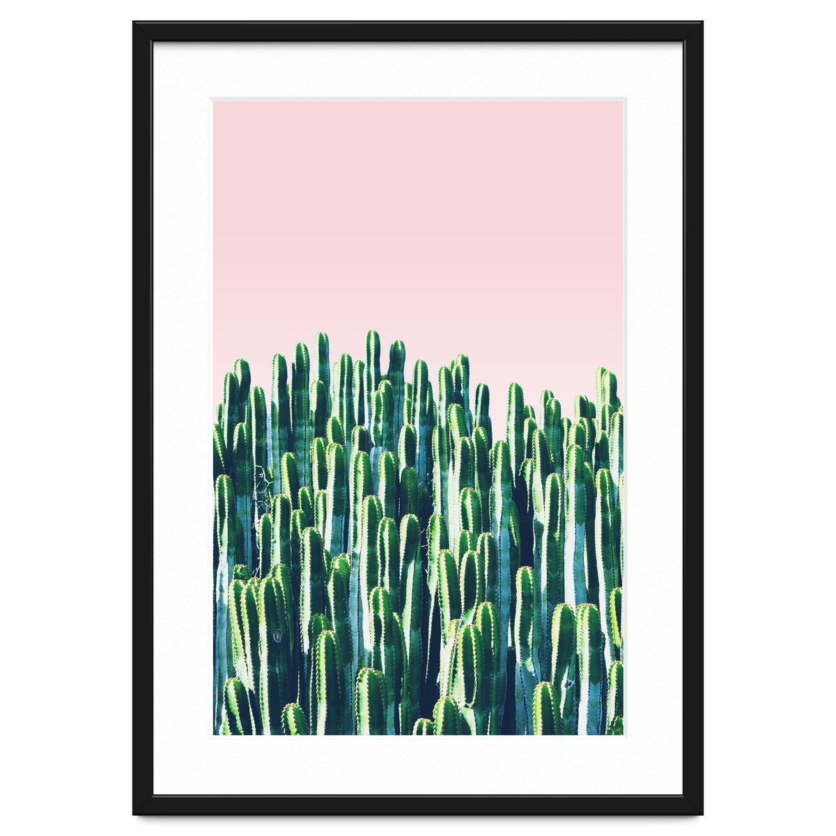 Cactus & Sunset II