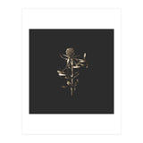 Golden Botanicals -  Square (Print Only) thumbnail
