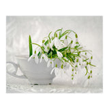 Snowflakes (Print Only) thumbnail