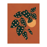 Monstera Adansonii (Print Only) thumbnail