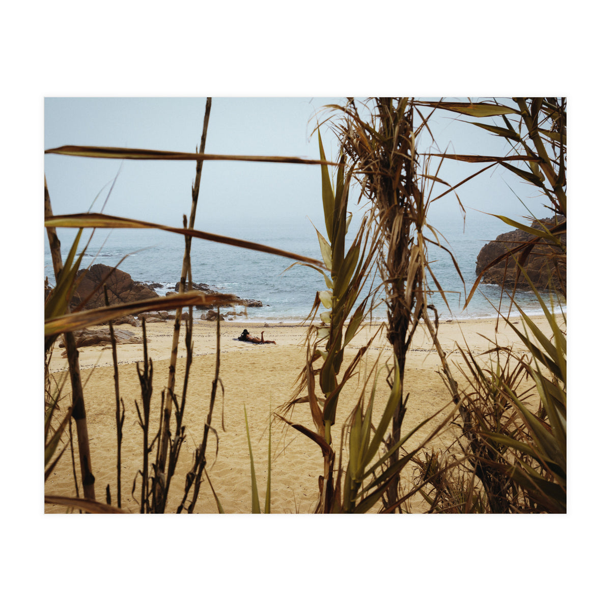 The Lure of a Tan (Print Only)