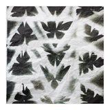 Dragonflies (Print Only) thumbnail
