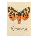 Garden tiger moth illustration (Print Only) thumbnail