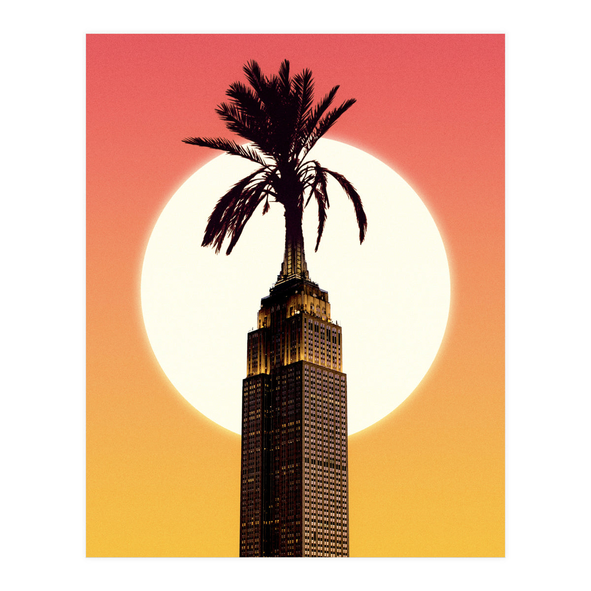 Palm City (Print Only)