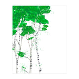 Birch forest (Print Only) thumbnail