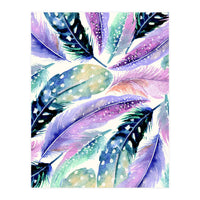 Wild Feathers (Print Only)