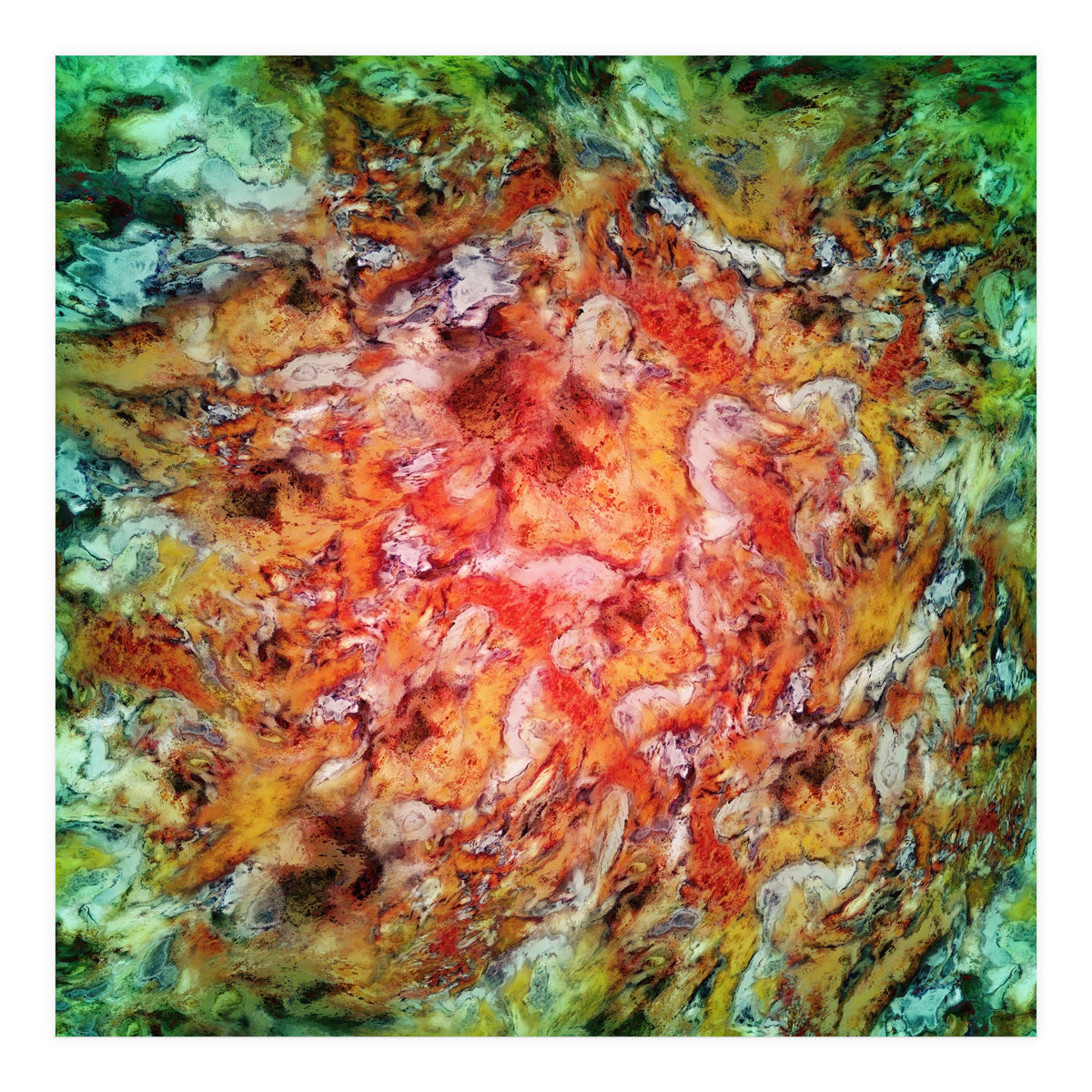 The Beautiful Evidence (Print Only)