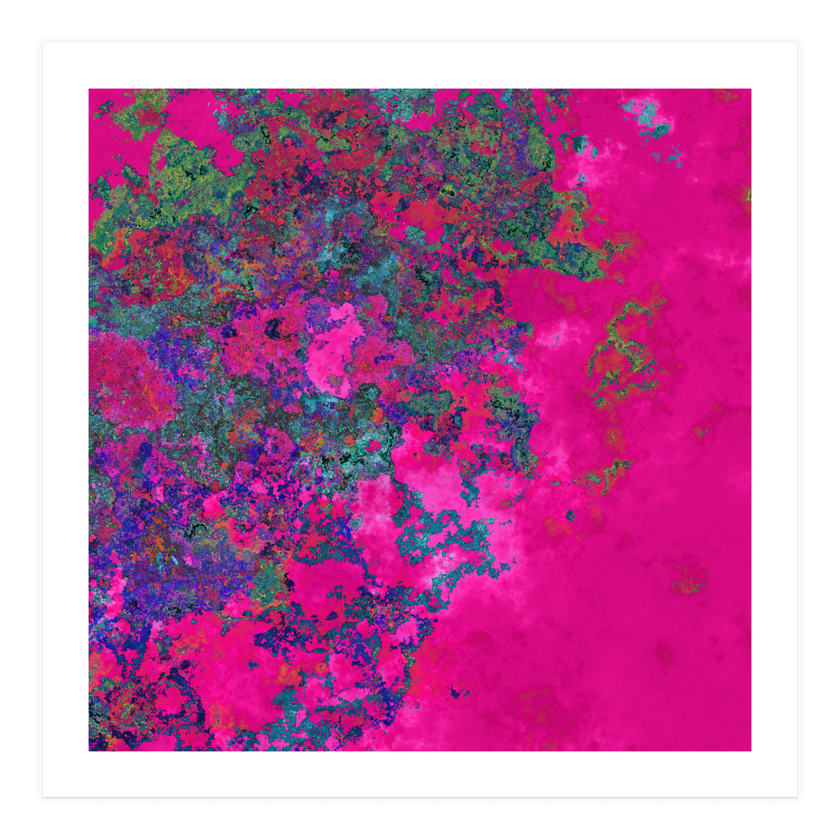 Fuchsia Dream (Print Only)