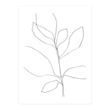 Seven Leaf Plant (Print Only) thumbnail