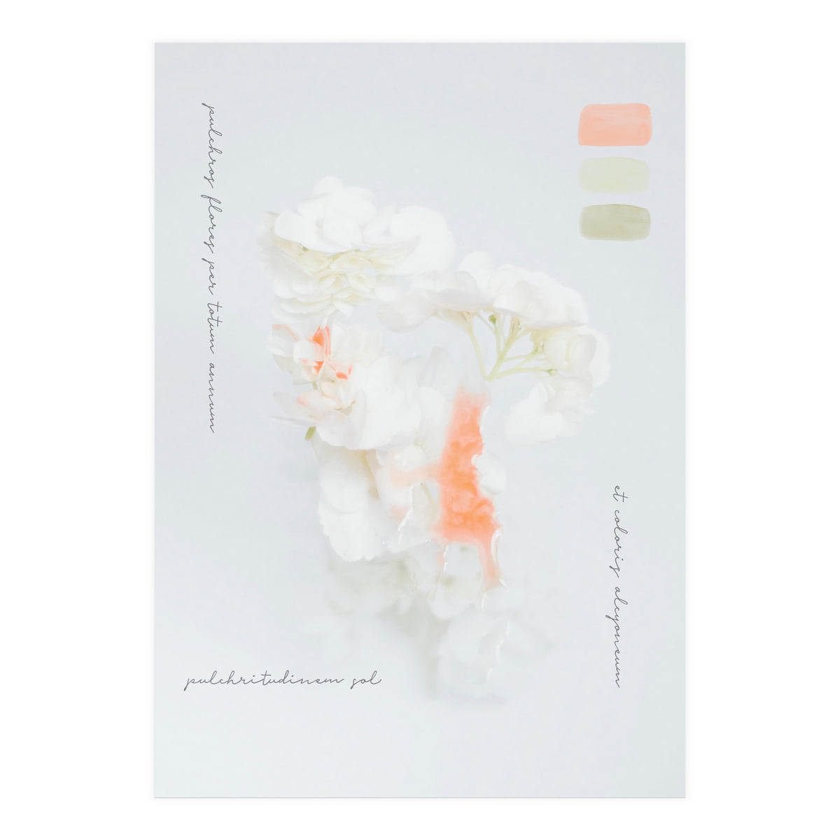 Modern Vintage Botanic (Print Only)