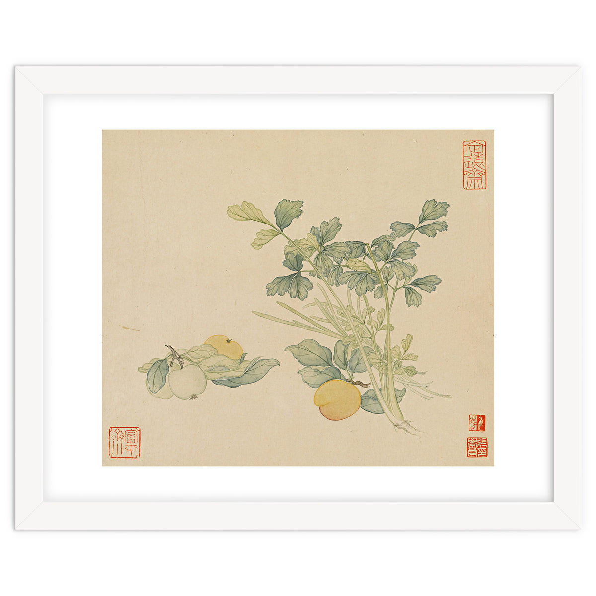 Wang Chengyu~flowers And Vegetables, Vegetables, Fruits, Plums, Apricots, Celery