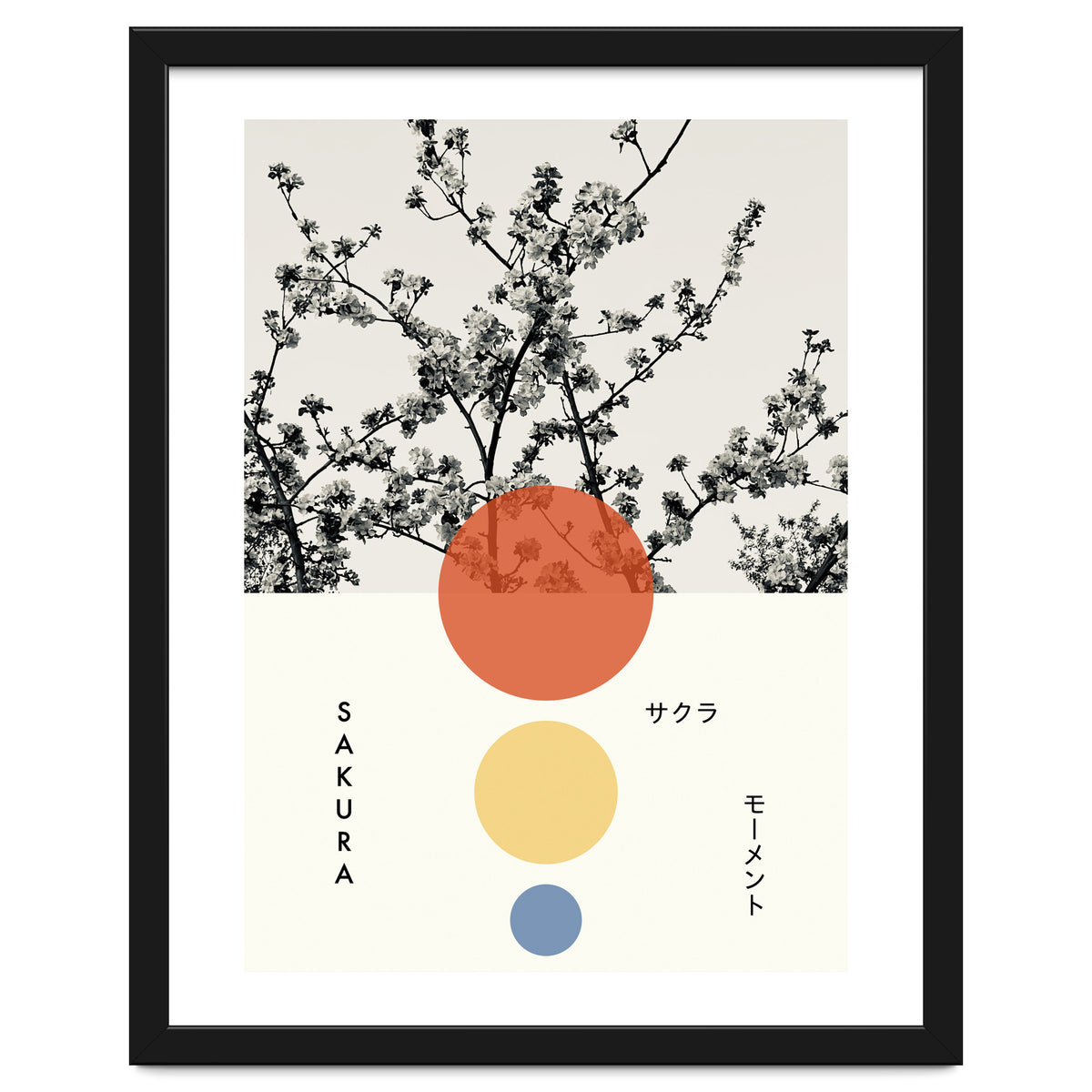 Sakura - Cherry blossom - Japanese - Photography