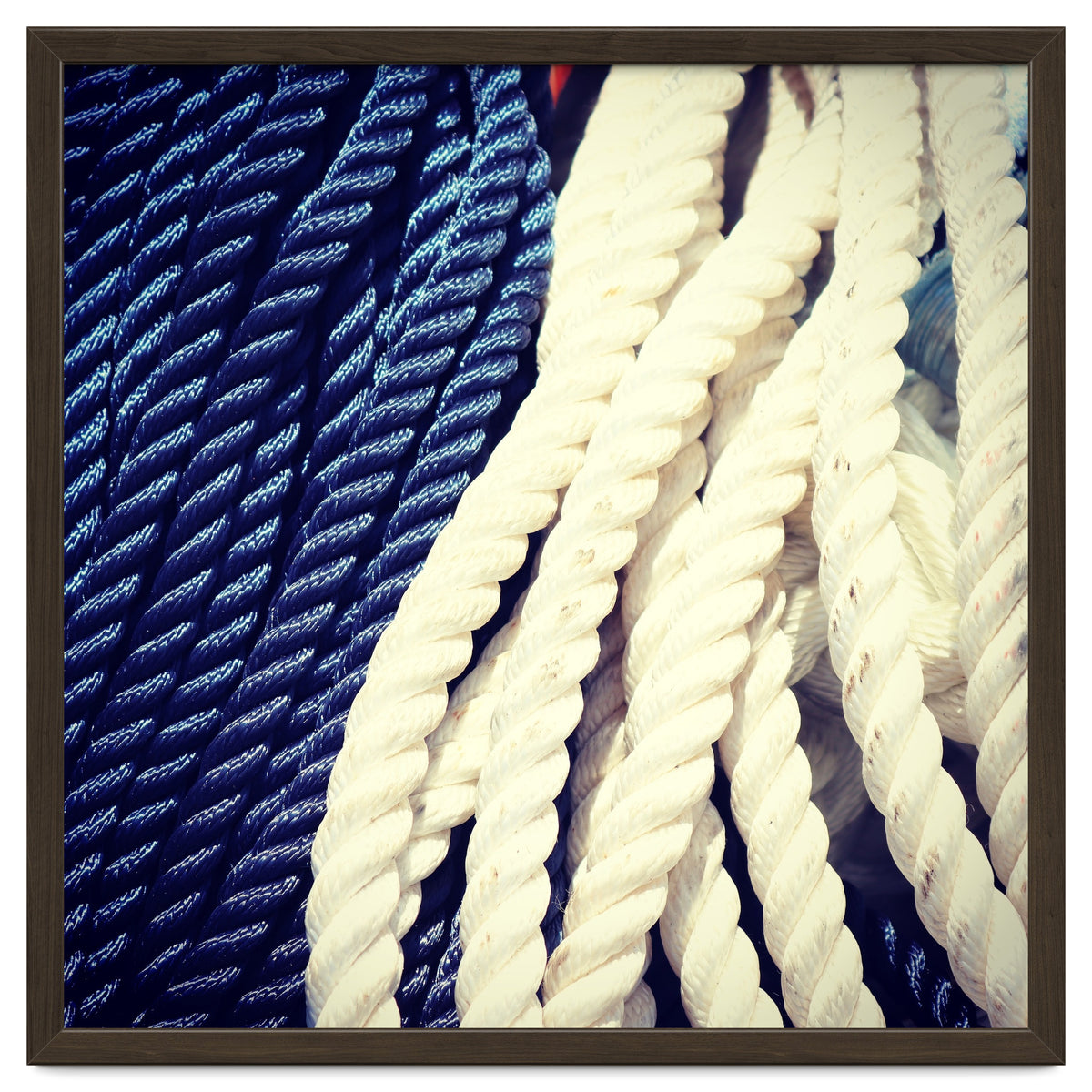 Blue and white fishing rope