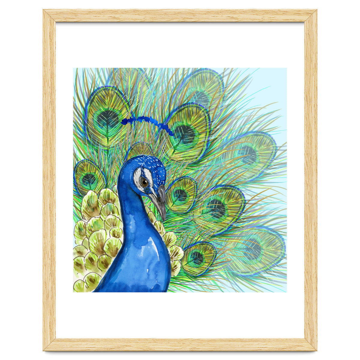 Peacock portrait