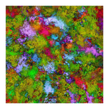 Above The Tree Canopy (Print Only) thumbnail