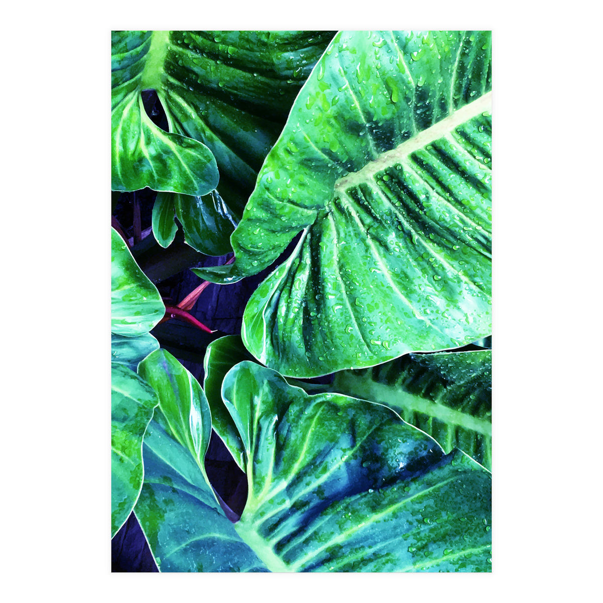 Another Botanical (Print Only)