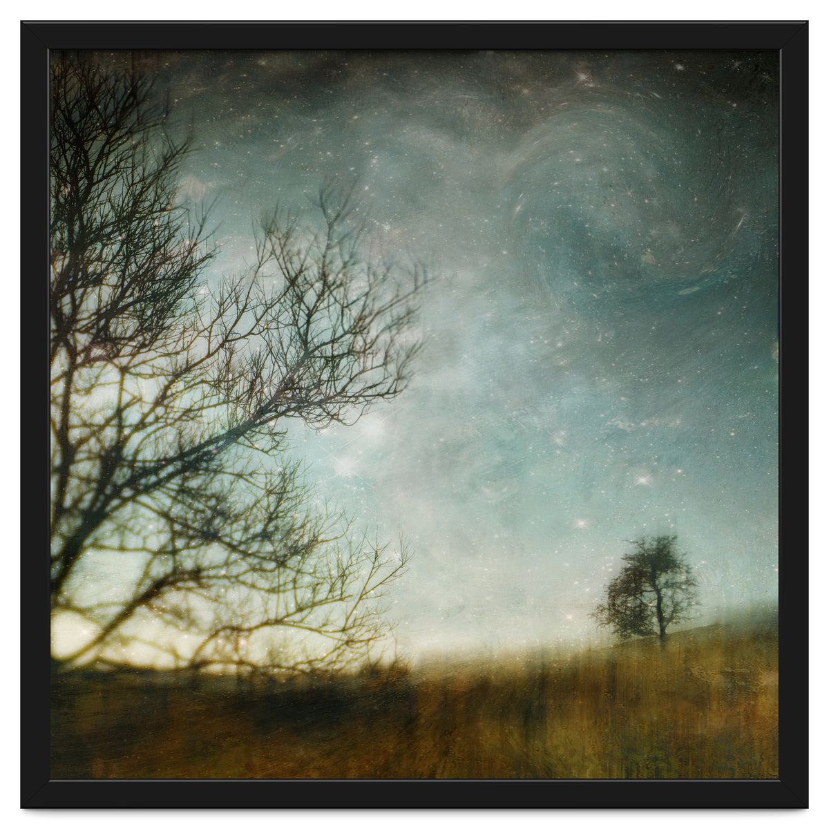 The Tree That Whispered