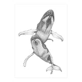 Humpacks no. 1 (Print Only) thumbnail