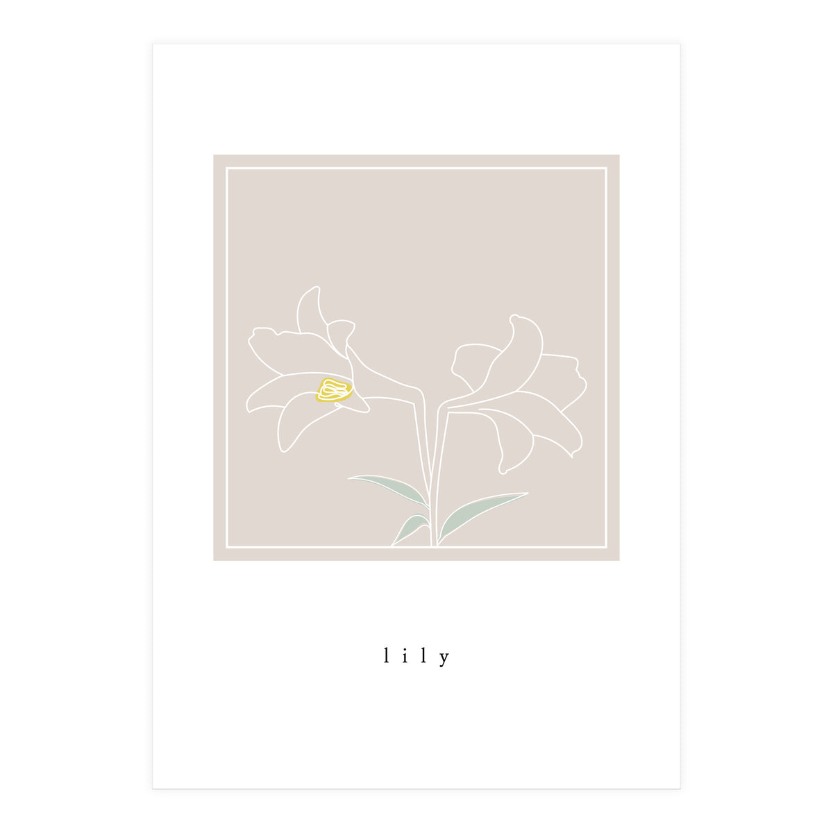 lily flower (Print Only)