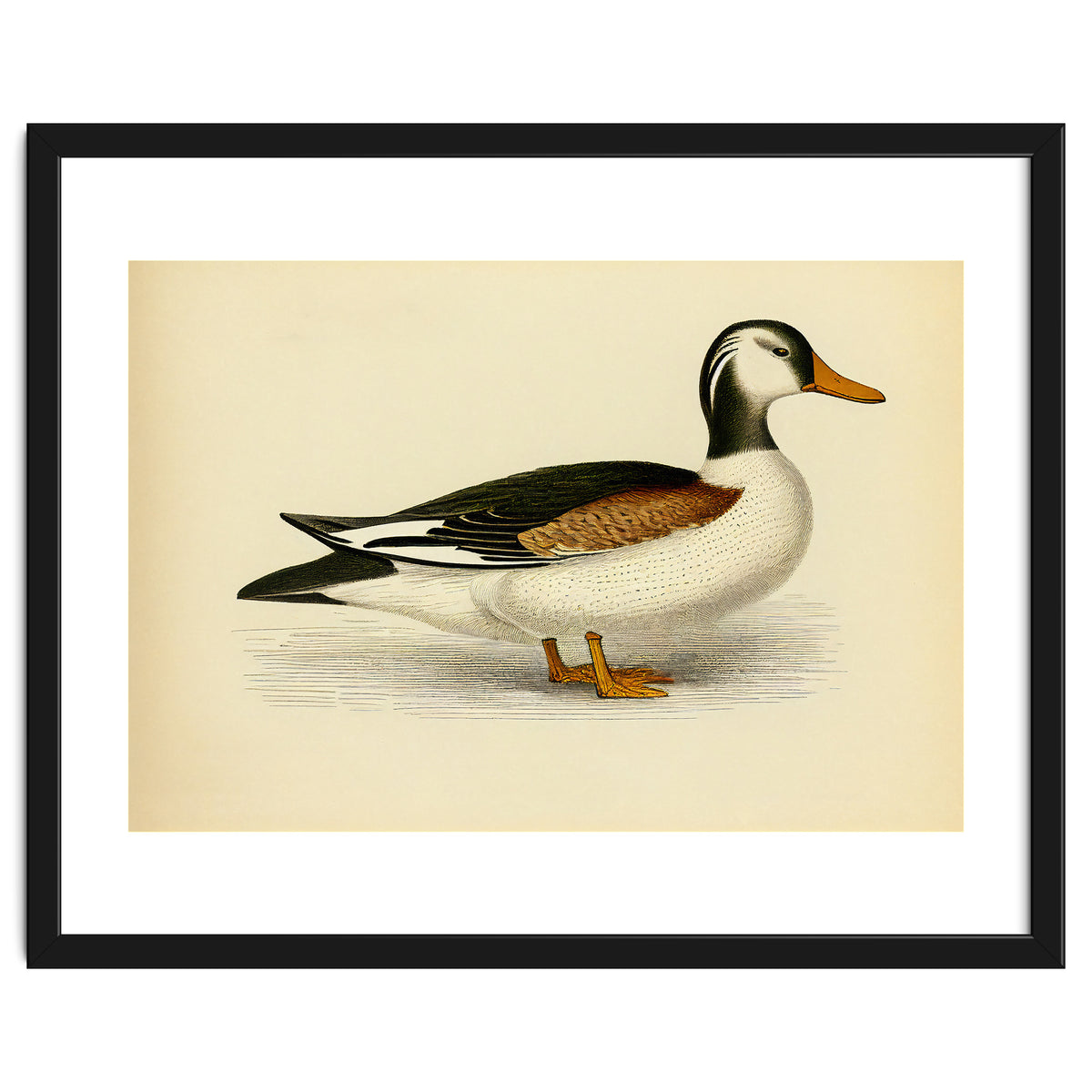 Vintage Duck Painting