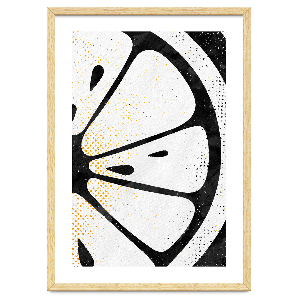 Citrus Collection No4