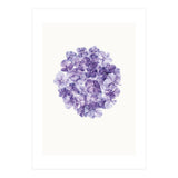 Cc Flower 01 (Print Only) thumbnail