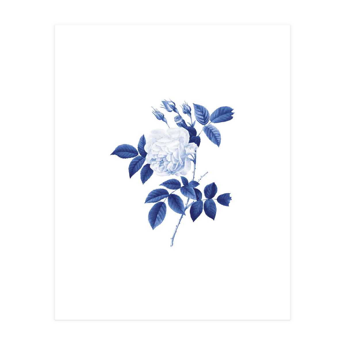 Blue Botanic II (Print Only)