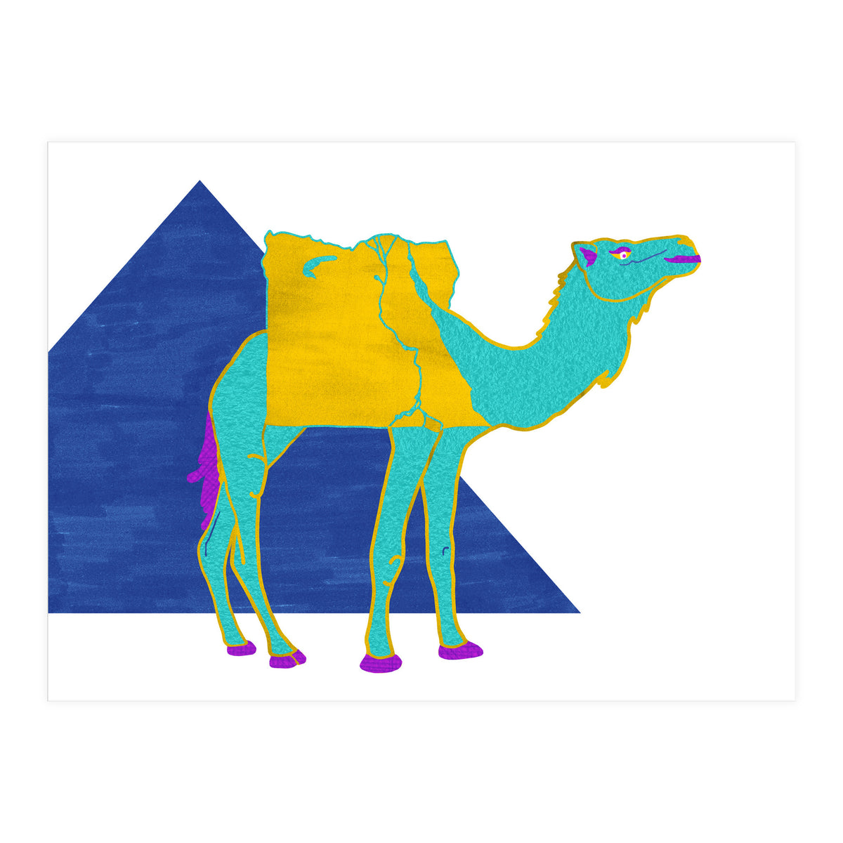 Egyptian Dromedary (Print Only)