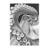 Octopus no. 1 (Print Only) thumbnail