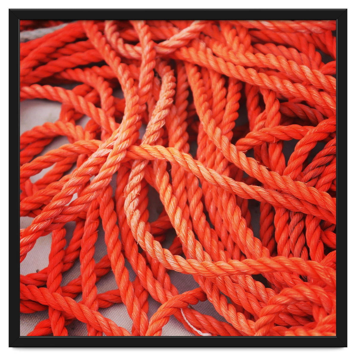 Orange ropes