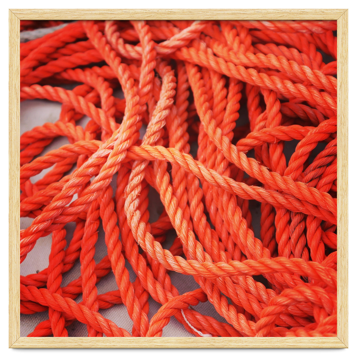 Orange ropes