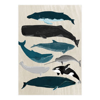 Whales (Print Only)