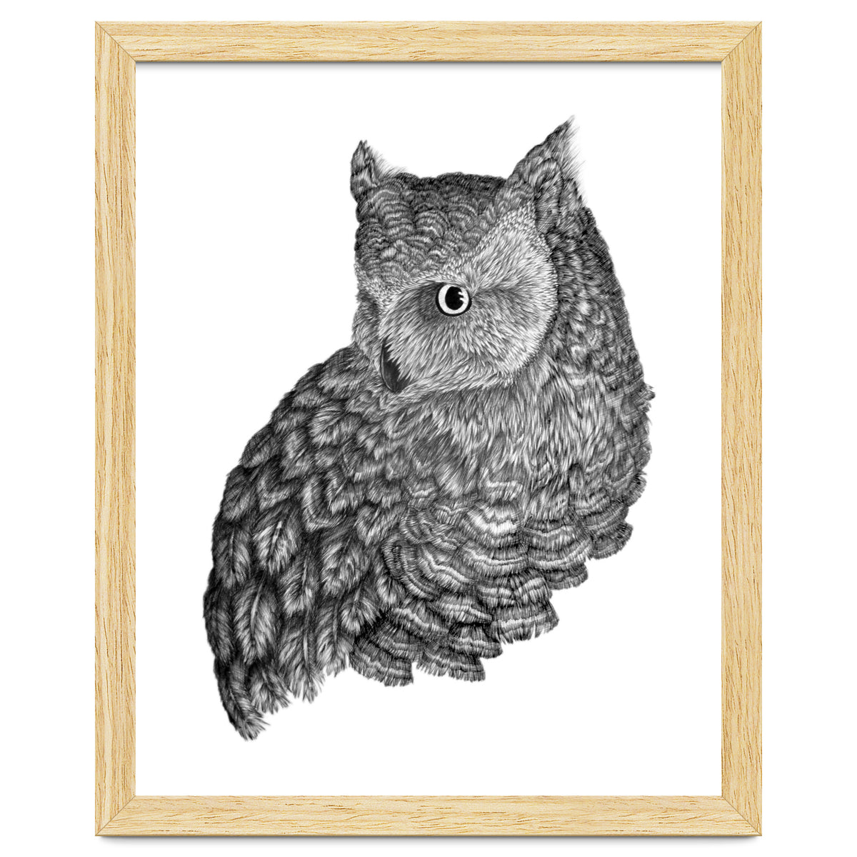 A Friend For Forsythe