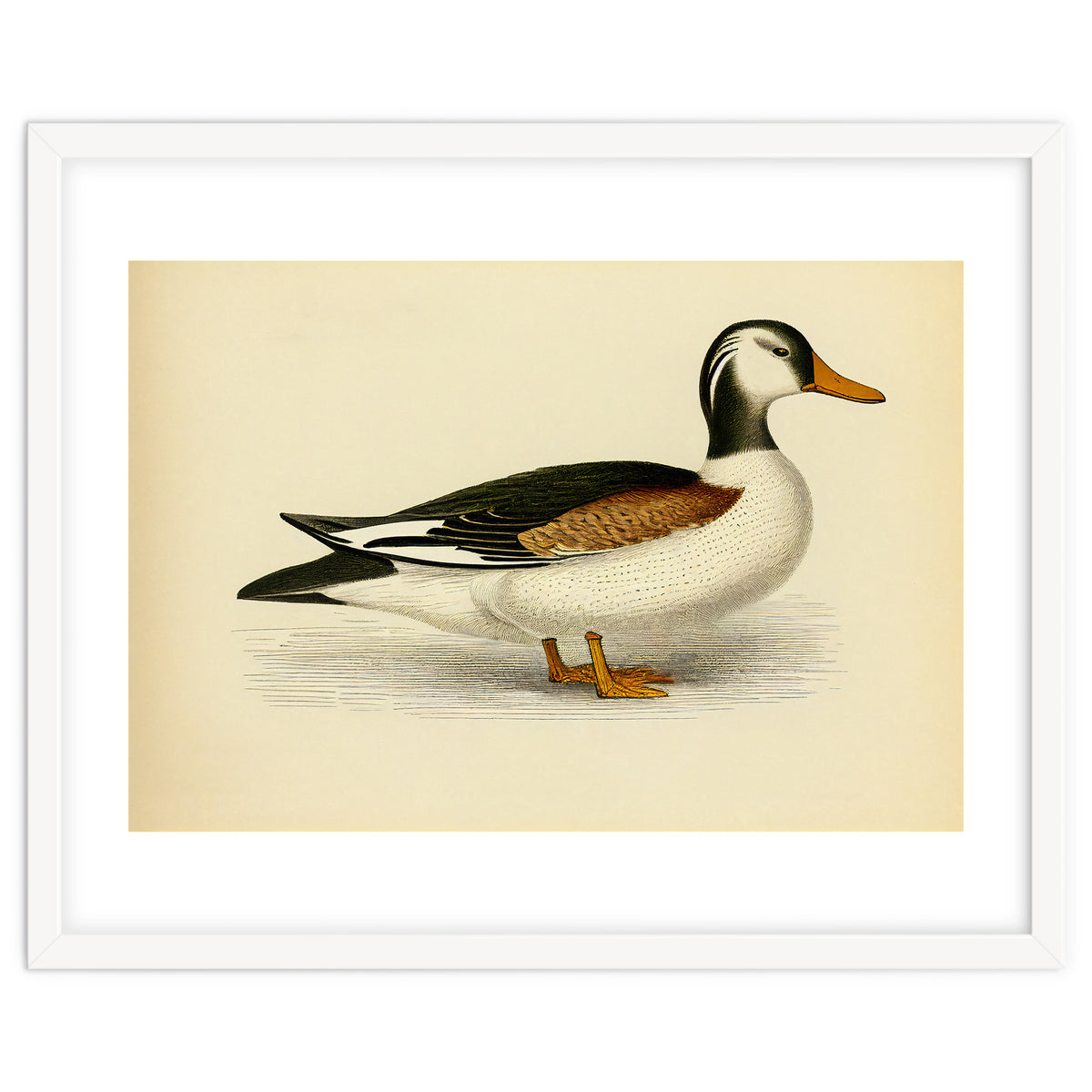Vintage Duck Painting