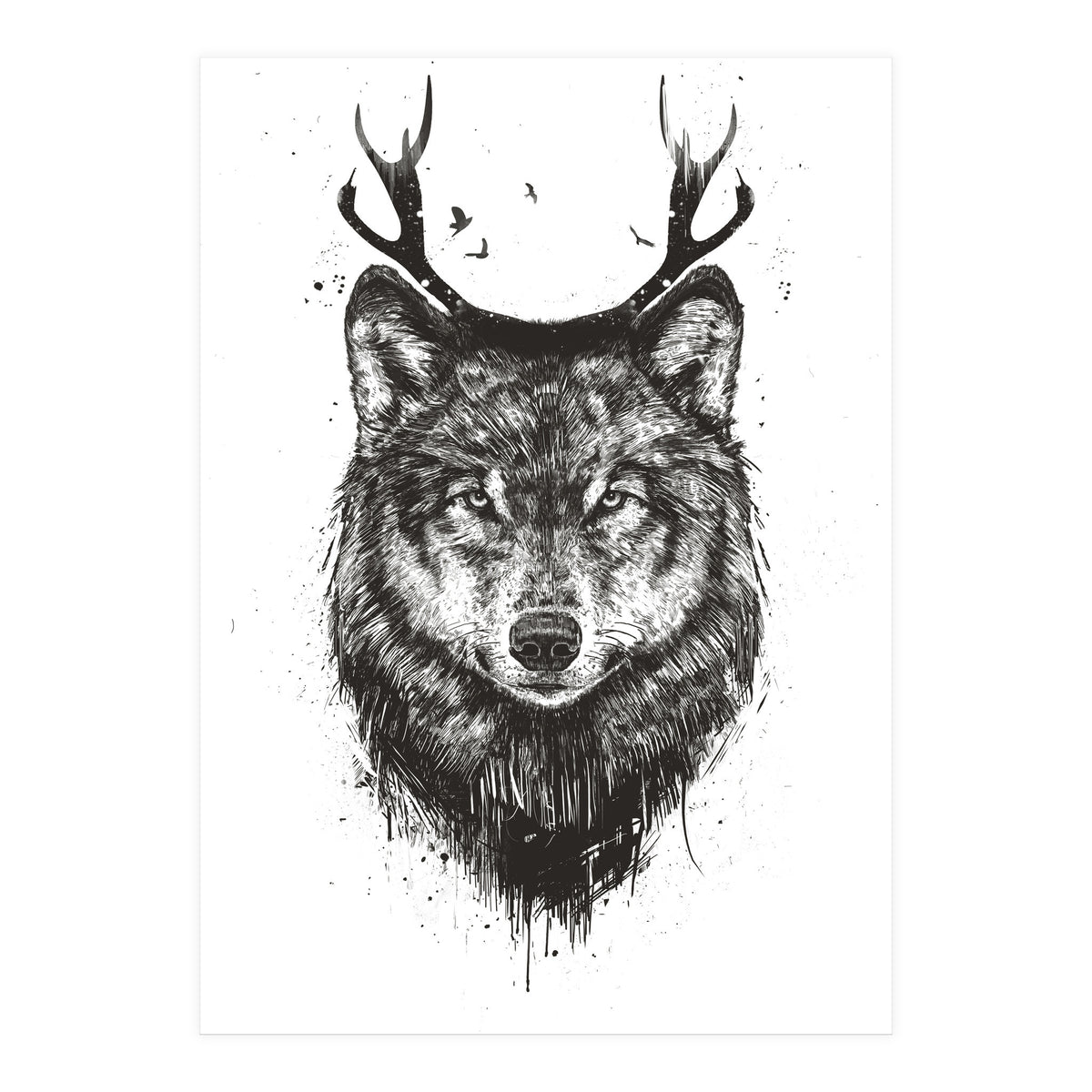 Deer Wolf Bw (Print Only)