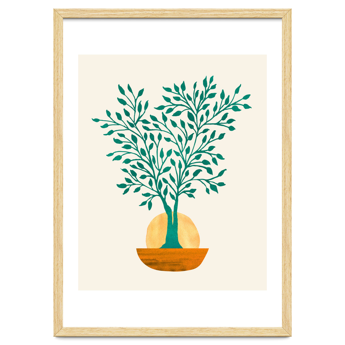 Emerald Ficus Sunset