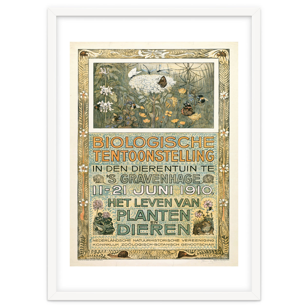 The Biological Exhibition