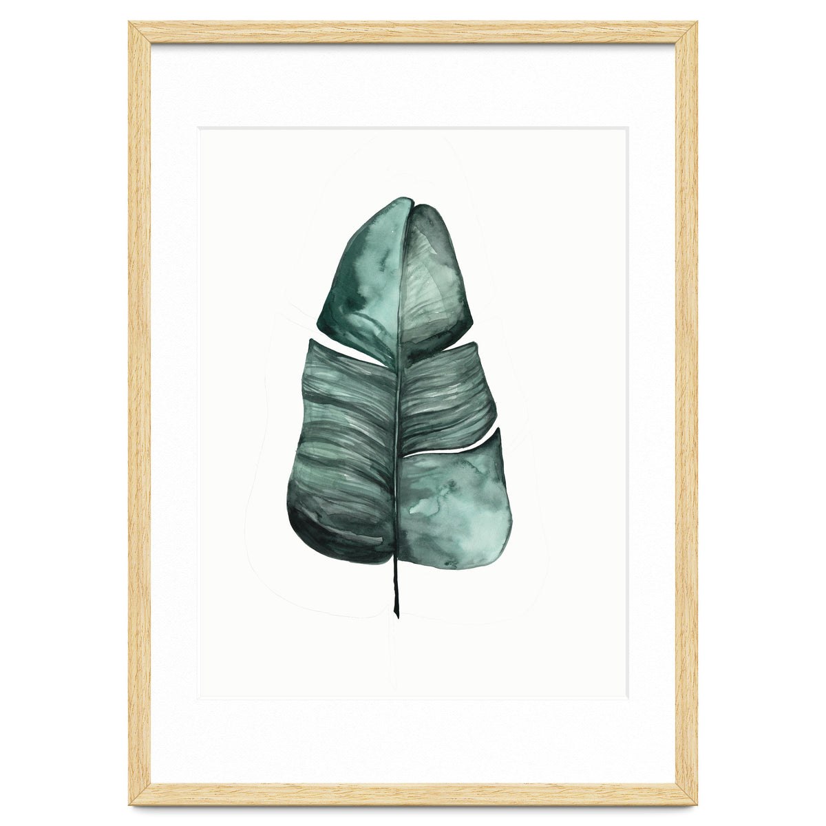 Botanical Illustration Banana Leaf