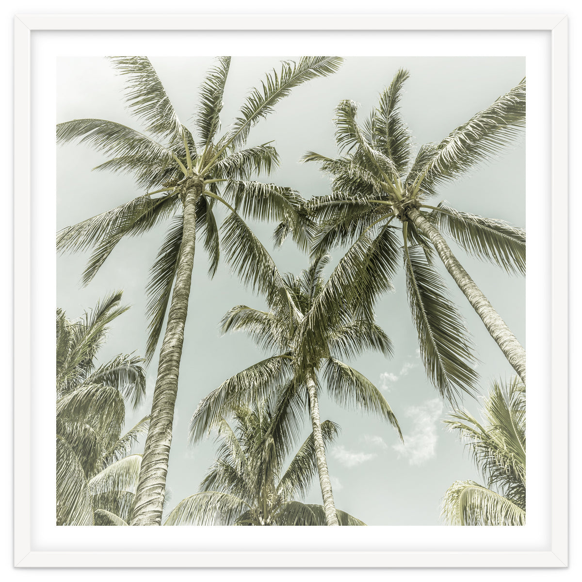 Lovely Palm Trees | Vintage