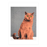 Everybody Wants To Be A Cat  (Print Only) thumbnail