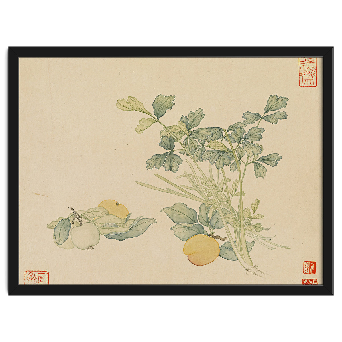 Wang Chengyu~flowers And Vegetables, Vegetables, Fruits, Plums, Apricots, Celery