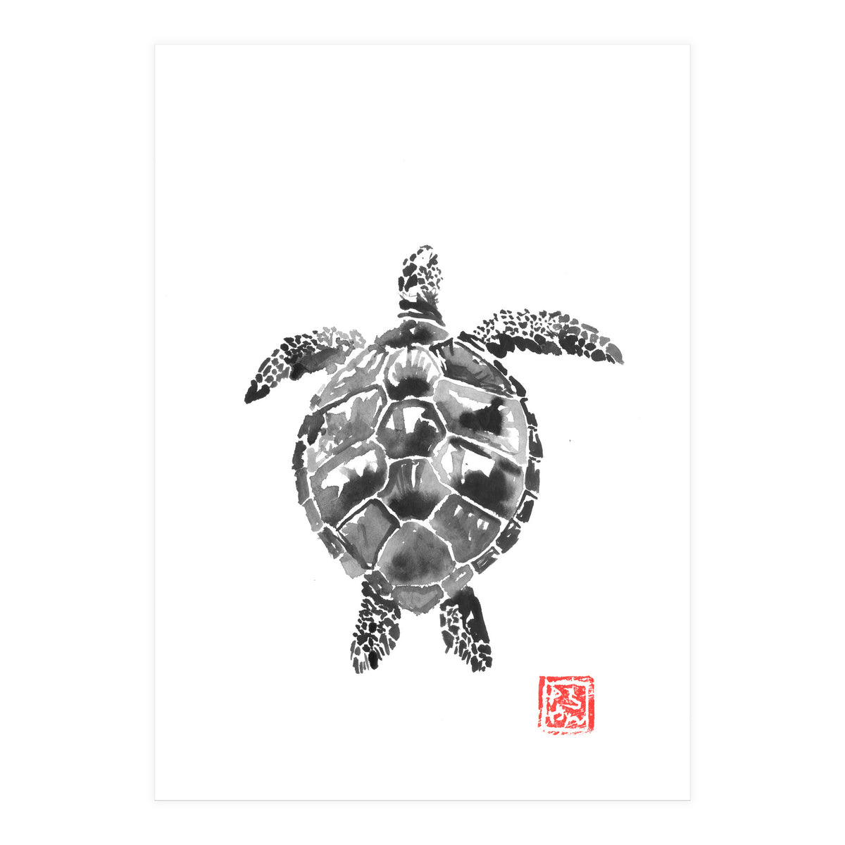 Tartoise (Print Only)